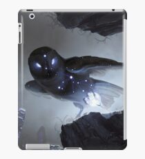 Noctua iPad Case/Skin