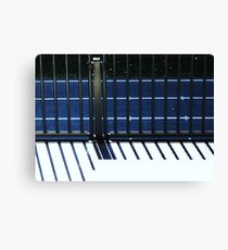 Gridiron Canvas Print