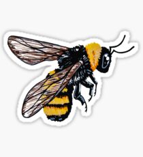 Bumblebee Sticker