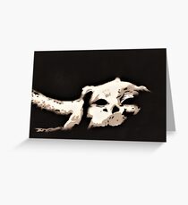 Luck dragon Greeting Card