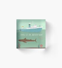 The Belafonte Acrylic Block