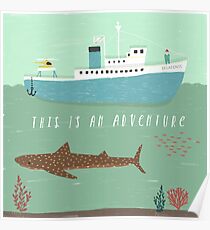 The Belafonte Poster