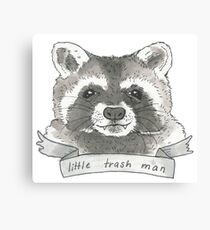 raccoon Canvas Print