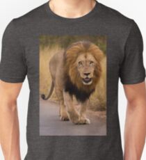 African lion, South Africa Unisex T-Shirt