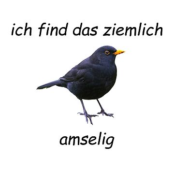 Ziemlich memes. Best Collection of funny Ziemlich pictures on