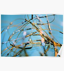 entropy Poster