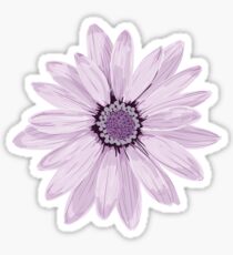 Pegatina Daisy Púrpura