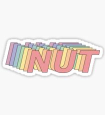 Colorful NUT Sticker