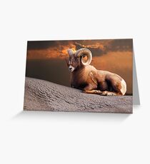 King Of The Mountain Greeting Card