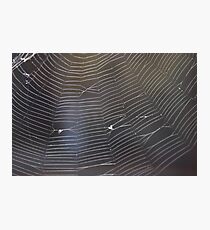 web Photographic Print