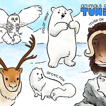 Tundra Tiere Clipart