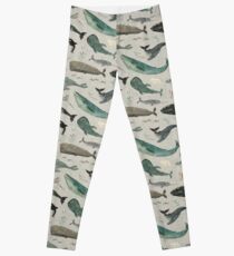Legging Canto de la ballena gris