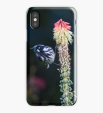 coque iphone 6 new holland coque iphone 6 new holland