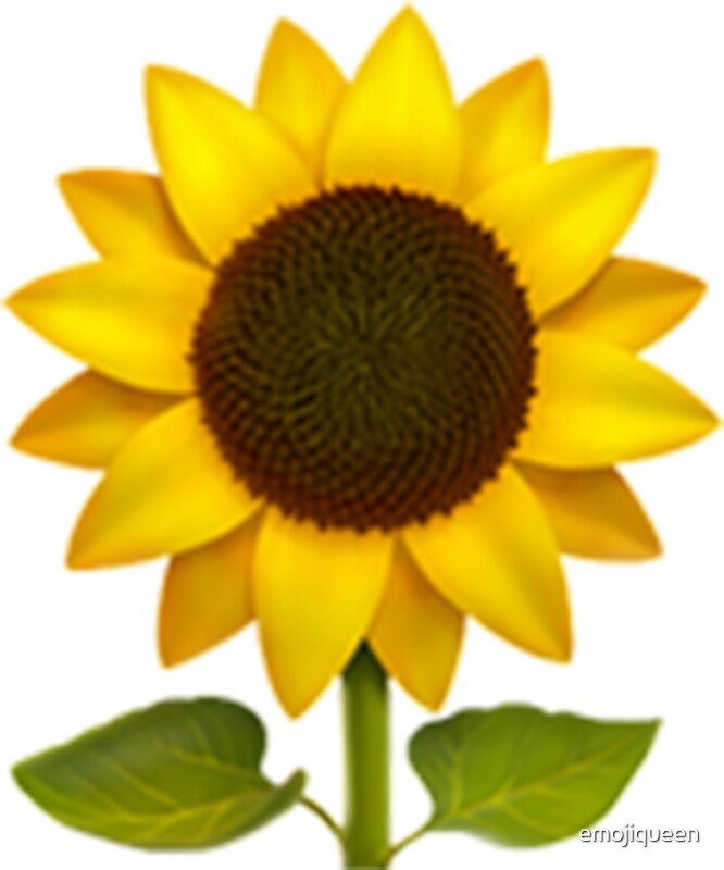 sunflower smiley cushion