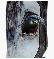 Intangible - Horse's Eye Poster
