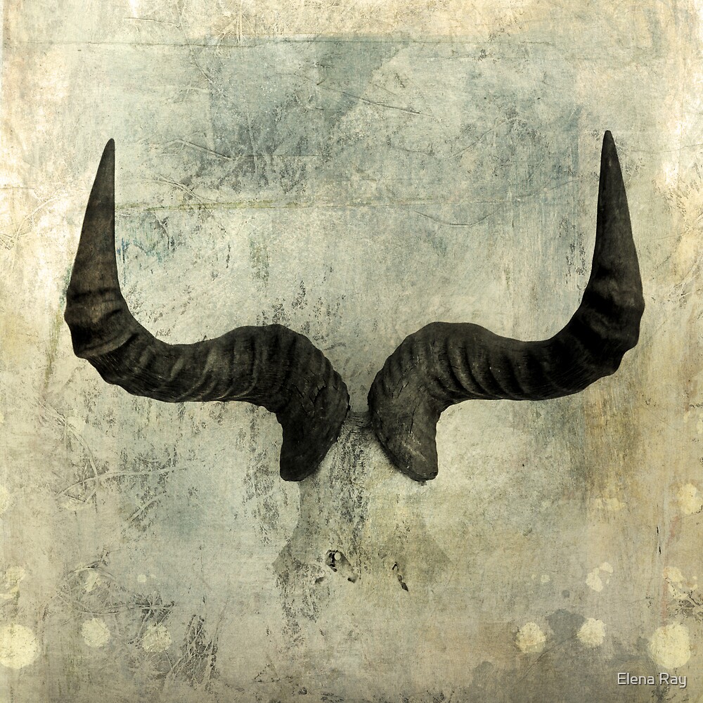 "Wildebeest Horns" by Elena Ray | Redbubble