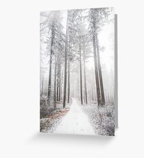 Mysterious road in a frozen foggy forest Greeting Card