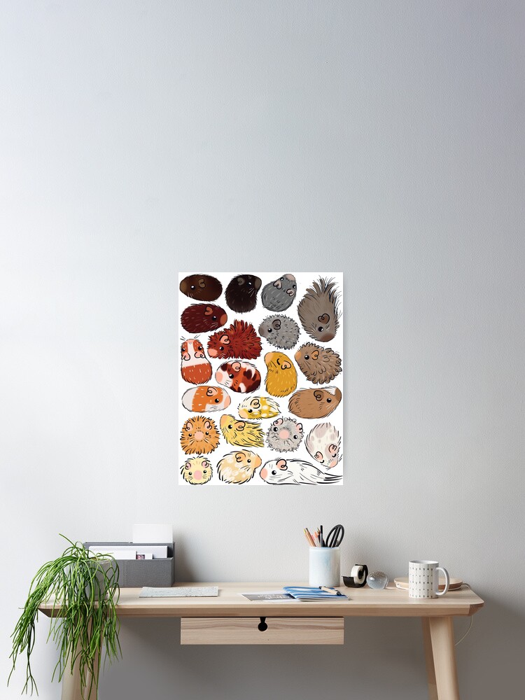 Alternate view of Guinea Pig Gradient Poster