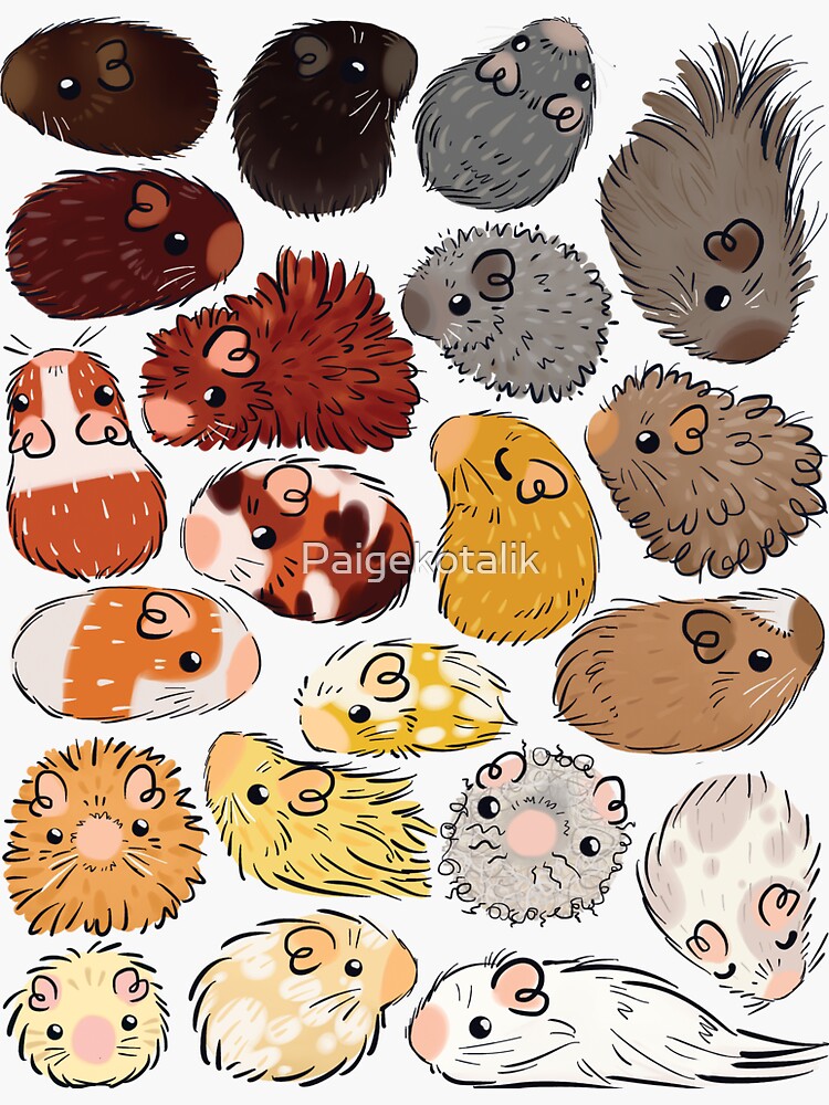 Guinea Pig Gradient by Paigekotalik