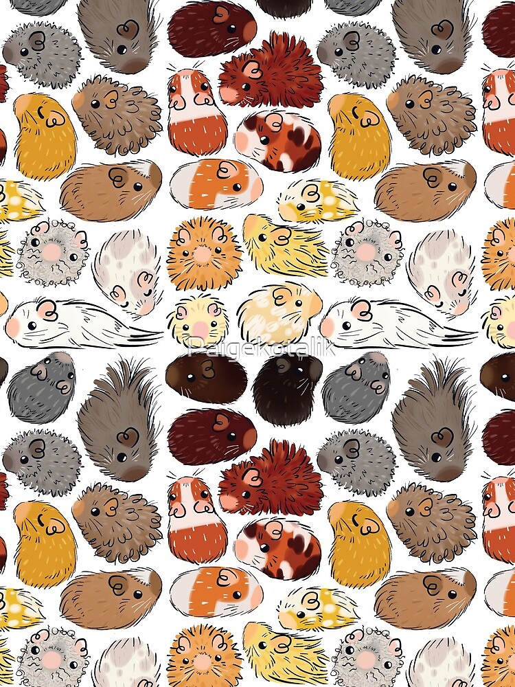 Guinea Pig Gradient by Paigekotalik