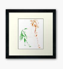Irish Horse Framed Print