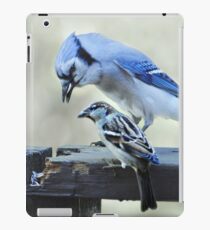 Friends iPad Case/Skin