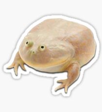 It is Wednesday my dudes frog Sticker