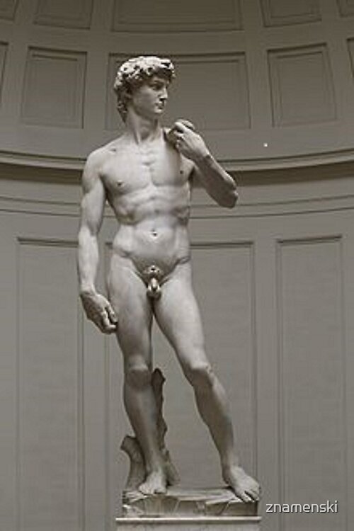	David by Michelangelo #David #Michelangelo #DavidbyMichelangelo #masterpiece Renaissance sculptureShop all products	