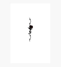Bouquet of Barbed Wire Photographic Print