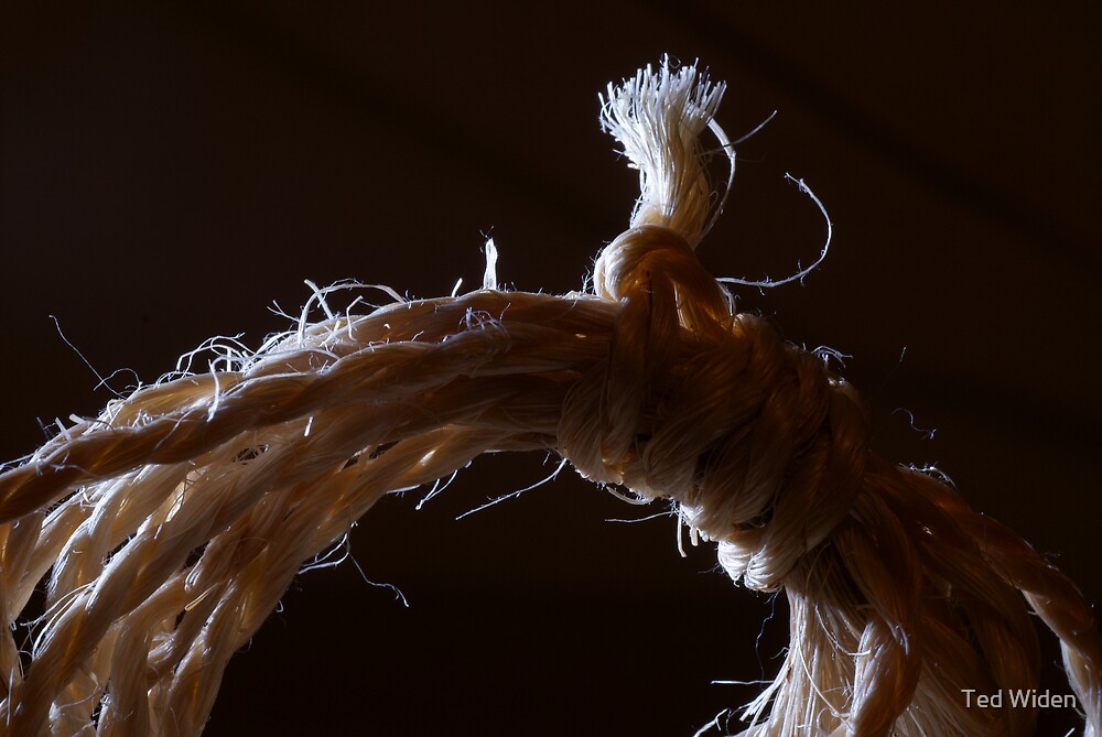"A frayed knot" by Ted Widen Redbubble