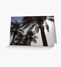 Trees Greeting Card