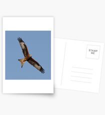 Red Kite Postcards