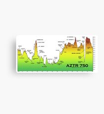 AZTR750 Profile Canvas Print