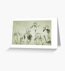 The Evening Irises Greeting Card