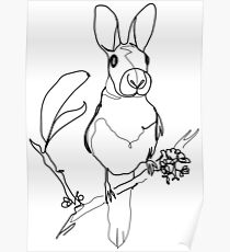 Bird or squirrel Poster