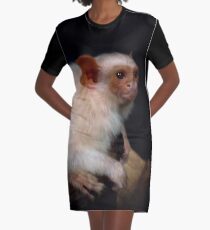 Silvery marmoset Graphic T-Shirt Dress