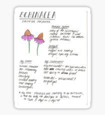 Medicinal Benefits of Echinacea Sticker