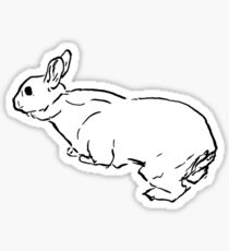Curious Bun #1 Sticker