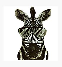 Hipster Zebra Fotodruck