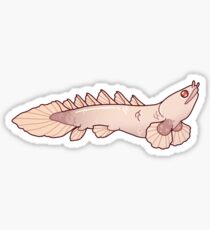 Albino Bichir Sticker