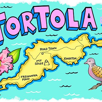 Funda Iphone X Tórtola Roja - Tortola