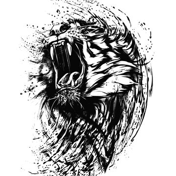 Tiger Sketch Images  Free Photos PNG Stickers Wallpapers  Backgrounds   rawpixel