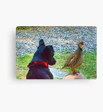 The Dog And Partridge Canvas Print