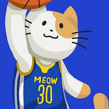 NBA Basketball My Cat Loves Golden State Warriors Hoodie