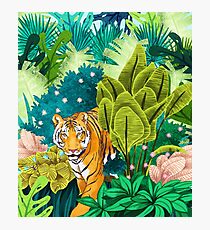 Jungle Tiger Photographic Print