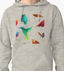birds Pullover Hoodie