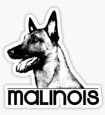 Pegatina Malinois - pastor belga -Mechelaar -Maligator