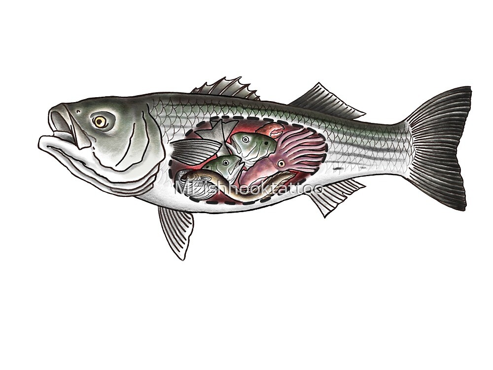 "Striped Bass You Are What You Eat" by MFishhooktattoo Redbubble