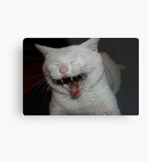 Hilarious Metal Print
