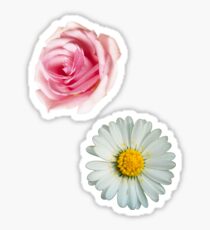 Rose & daisy Sticker